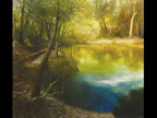 Wetlands MN No1.jpg